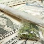 Marijuana Cases May Involve Insufficient Search & Seizure Evidence