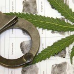 possession of marijuana in prince george va will trigger an arrest and booking at the county jail