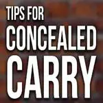 Concealed Handgun Permit Carry Attorney Legal Tips